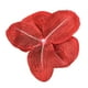 thumbnail image 5 of Cabezas de Orquídea Phalaenopsis de Seda Artificial de 3.9" para Decoración de Boda DIY, Rojo 20 Paquete, 5 of 6
