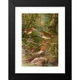 thumbnail image 2 of Johann Friedrich Naumann 14x18 Black Modern Framed Museum Art Print Titled - Erithacus Rubeculus, 2 of 5