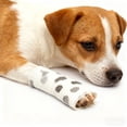 thumbnail image 3 of Self- Bandage Wrap for Pet Sports Injury Support and Flexible, 3 of 3