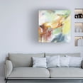 thumbnail image 3 of Mary Urban 'Possibilities III Crop' Canvas Art, 3 of 3