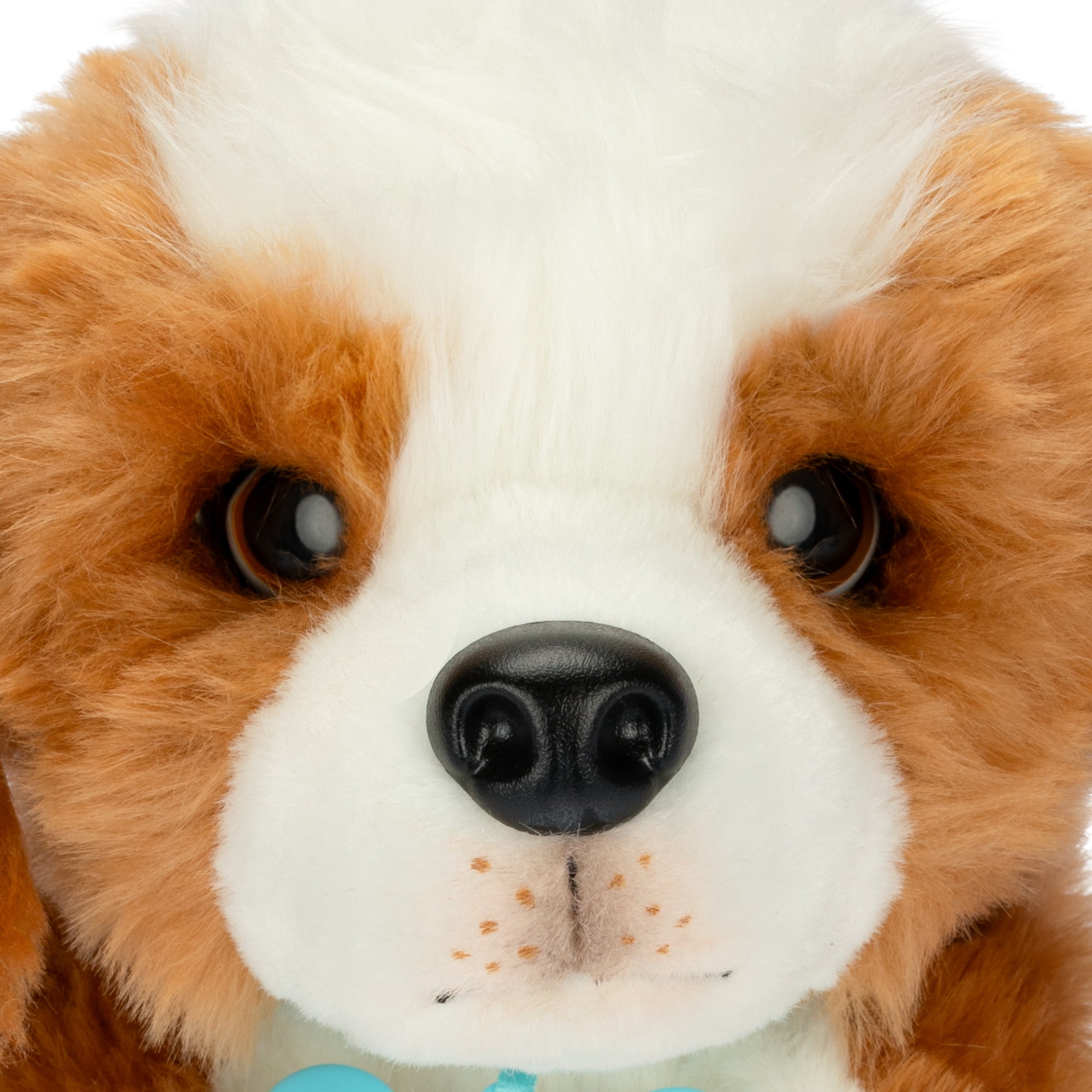Little Live Pets My Really Real Puppy Beagle Patches, Interactive Toy 60+ Sounds & Reactions Ages 4+