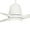 White, variant on Smaair 52" 3 Blade White Smart Ceiling Fan with Wall Control and Light
