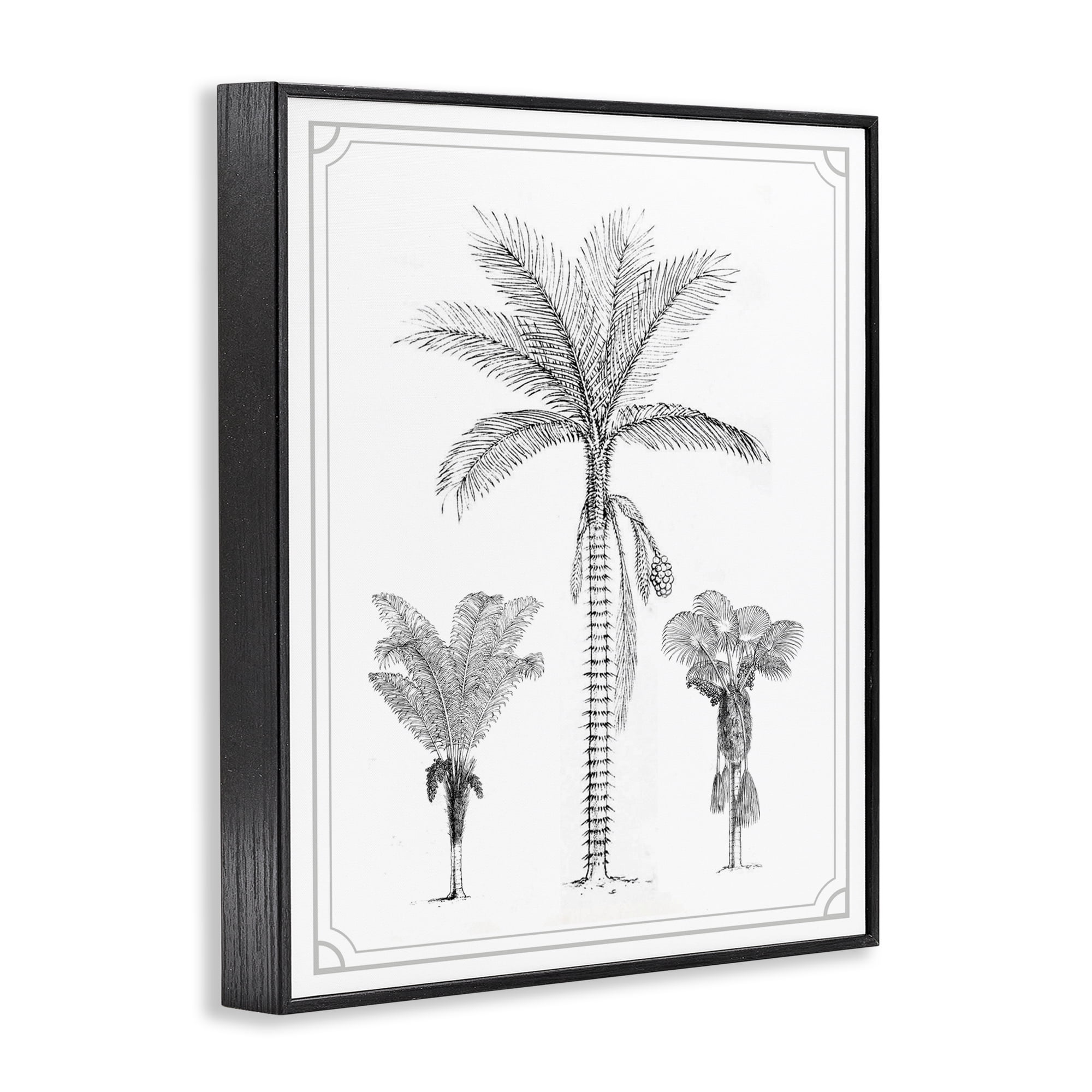Palm Tree Trio Sketches Black Framed Giclee Art, design by Lettered and Lined