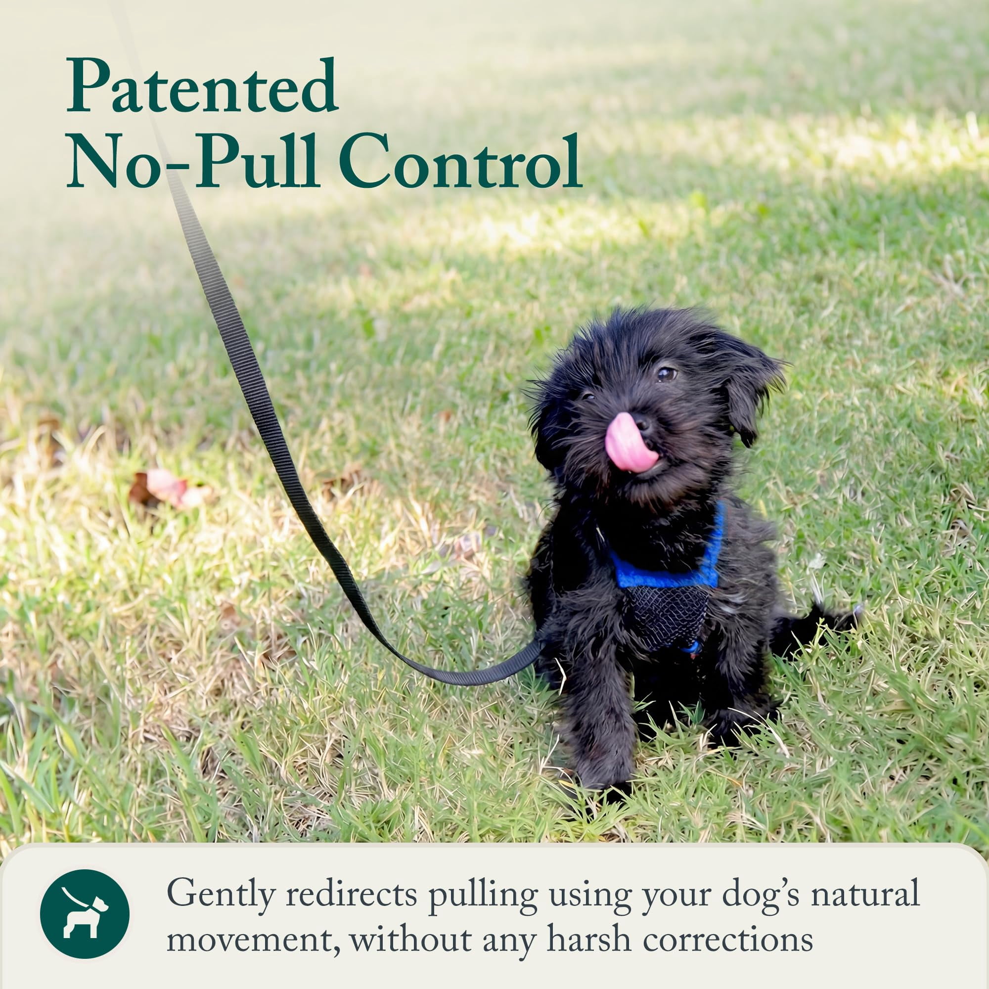 No Pull Dog Harness  Durable Nylon Mesh For Small Dogs Choke Design Padded Restraint Sleeves Adjustable Fit Easy On/off Ideal Breeds Blue