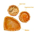 thumbnail image 2 of 2 Packs Reptile Water Dish Food Bowl for Bearded Dragon Tank Accessories, Reptile Rock Feeder for Leopard Gecko Hermit Crab Tortoise Snake, Orange, 2 of 6