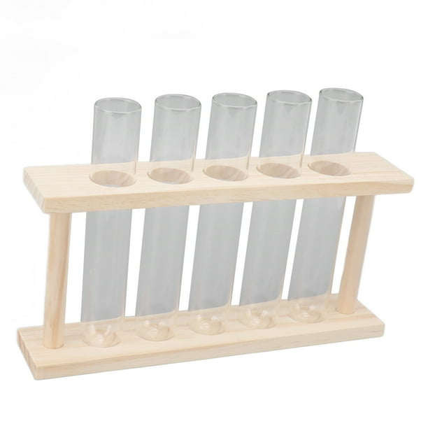 5 Test Tube Plant Terrarium, Glass Test Tube Plant Terrarium Ample