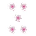 thumbnail image 2 of QualitChoice Maille Fascinator Femmes Coiffure Photographie Accessoires Prom Maquillage Performance Réglable Cosplay Partie Couvre-Chef Rose 5PCS, 2 of 6
