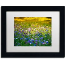 Trademark Fine Art "Candy Fields" Canvas Art by Philippe Sainte-Laudy, White Matte, Black Frame