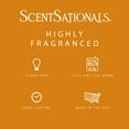 thumbnail image 2 of Caramel Pumpkin Scented Wax Melts, ScentSationals, 2.5 oz (1-Pack), 2 of 5