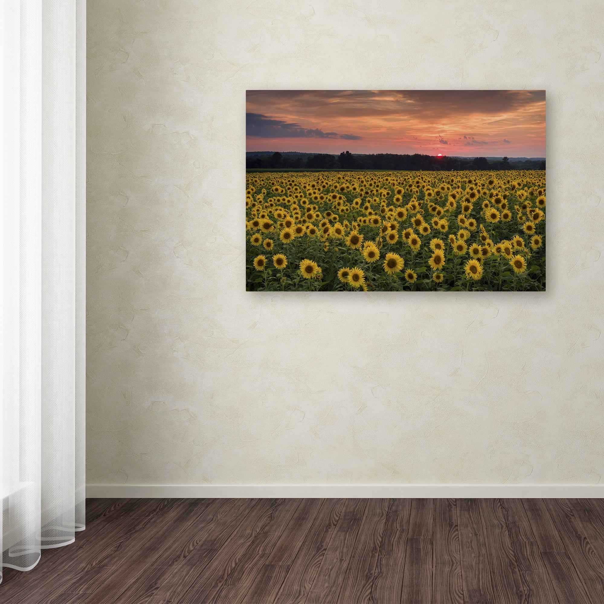 Trademark Fine Art "Sunflower Taps" Canvas Art by Michael Blanchette Photography
