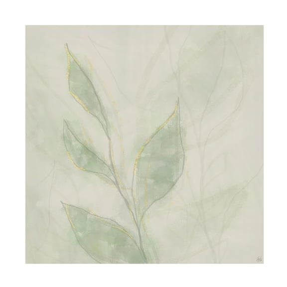 Canvas Wall Art - Line and Brush 'Botanical Shadowed' Wall Art for Living Room, Bedroom, or Office Décor by Trademark Fine Art - 14 x 14 Inches