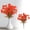 D, variant on Autumn Simulation Eucalyptus, Autumn Red 35x20cm, for Outdoor Garden, Yard Landscaping, Patio, Porch, Wedding, Home Decor, Includes 1 Stem
