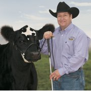 Weaver Leather Livestock Black Magic Show Halter, Small