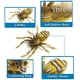 thumbnail image 5 of Cebo flotante de araña de agua Luya, cebo blando de 4,7 cm, 6 g/4 cm, 3 g, cebo de simulación, cebo de pico amartillado, cebo falso, 5 of 6