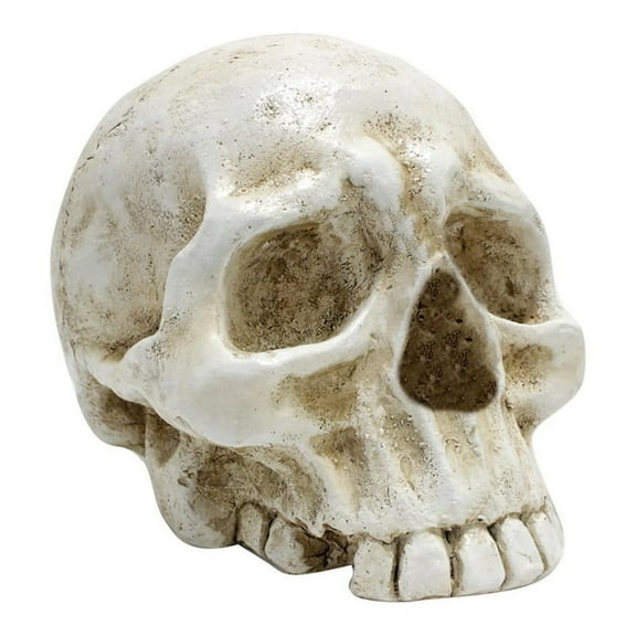 Skull Decoration Skull, Day of the Dead Decoration Human Skull Resin Model Art