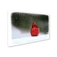 thumbnail image 3 of Trademark Fine Art "A Ruby in the Snow" Canvas Art by Lois Bryan, 3 of 4