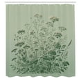 thumbnail image 3 of Ambesonne Sage Green Shower Curtain, Botanical Wildfloral Art, 69"Wx70"L, Pale Teal Emerald, 3 of 4