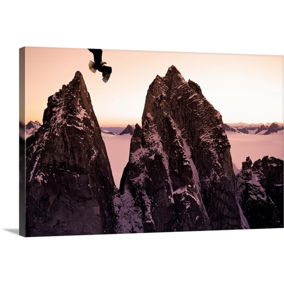 Great BIG Canvas | "Bald Eagle flying past Taku Towers on the Juneau Ice Field at sunset, Alaska. " Canvas Wall Art - 24x16