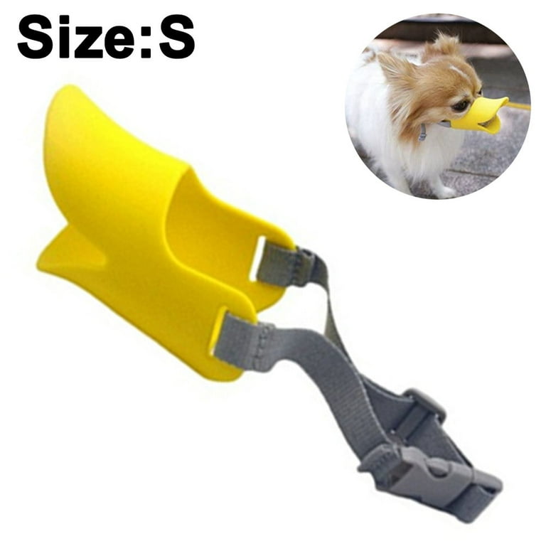 Quack 2024 dog muzzle