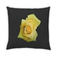 thumbnail image 2 of Ahgly Company Color Focus Black Outdoor Throw Pillow, 18 inch by 18 inch, 2 of 6