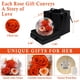 thumbnail image 4 of Rosa preservada FIACO Forever Fresh Flowers en cúpula de cristal, 4 of 6
