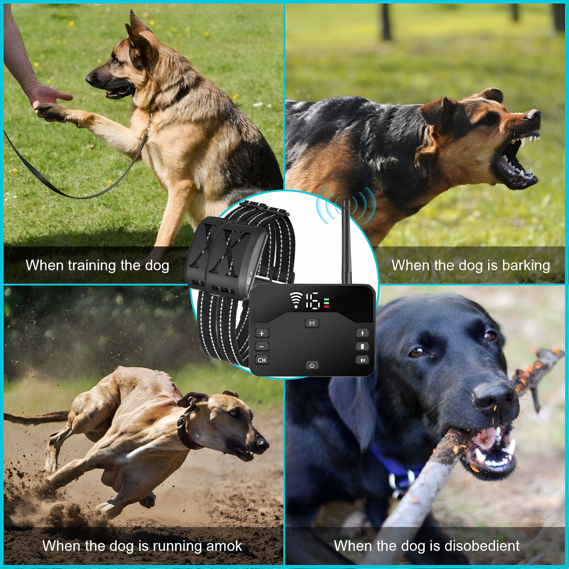 GASTROPOD Wireless Dog Fence for 1 Dog ,Electric Fence for Dogs 2 in 1 Wireless Dog Fence Collar Pet Containment System