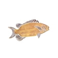 thumbnail image 3 of Plato decorativo para baratija, bandeja de almacenamiento de escritorio, adorno de decoración de peces, cuenco de estético creativo, bandeja, 3 of 9