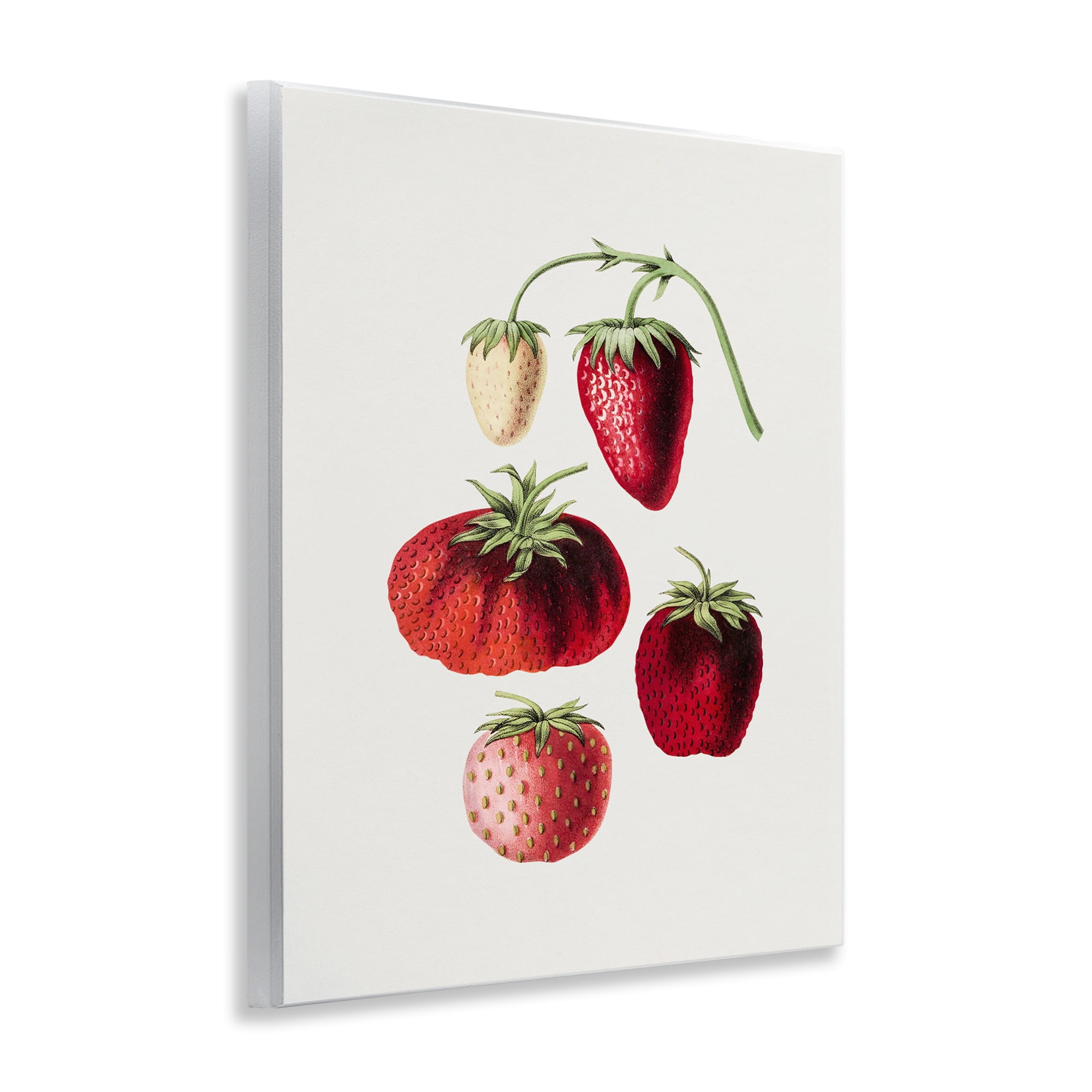 Stupell Industries Natural Berries Study Food & Beverage Painting Unframed Art Print Wall Art, 11 x 14