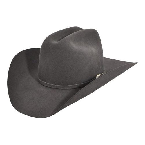 Bailey Western Unisex Lightning 4X 