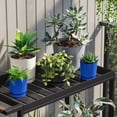 thumbnail image 2 of 8"x8" Square Self-Watering Plastic Planter Pot, Indoor Outdoor Decorative Plant Container for Herbs, Flowers, Succulents, Home Patio Garden, 2 of 4