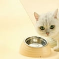 thumbnail image 1 of Fiudx Comedero de Acero Inoxidable para Mascotas, Base Antideslizante, Borde Biselado para Mayor Comodidad, Inserto de Plástico Extraíble, Fácil de Limpiar, Seguro y Duradero, Apto para Perros, Gatos, 1 of 6