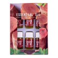 thumbnail image 2 of 6Pcs 3ml Rose/Lavender/Ocean Natural Fragrance Essential Oil for Aroma Diffuser, 2 of 10