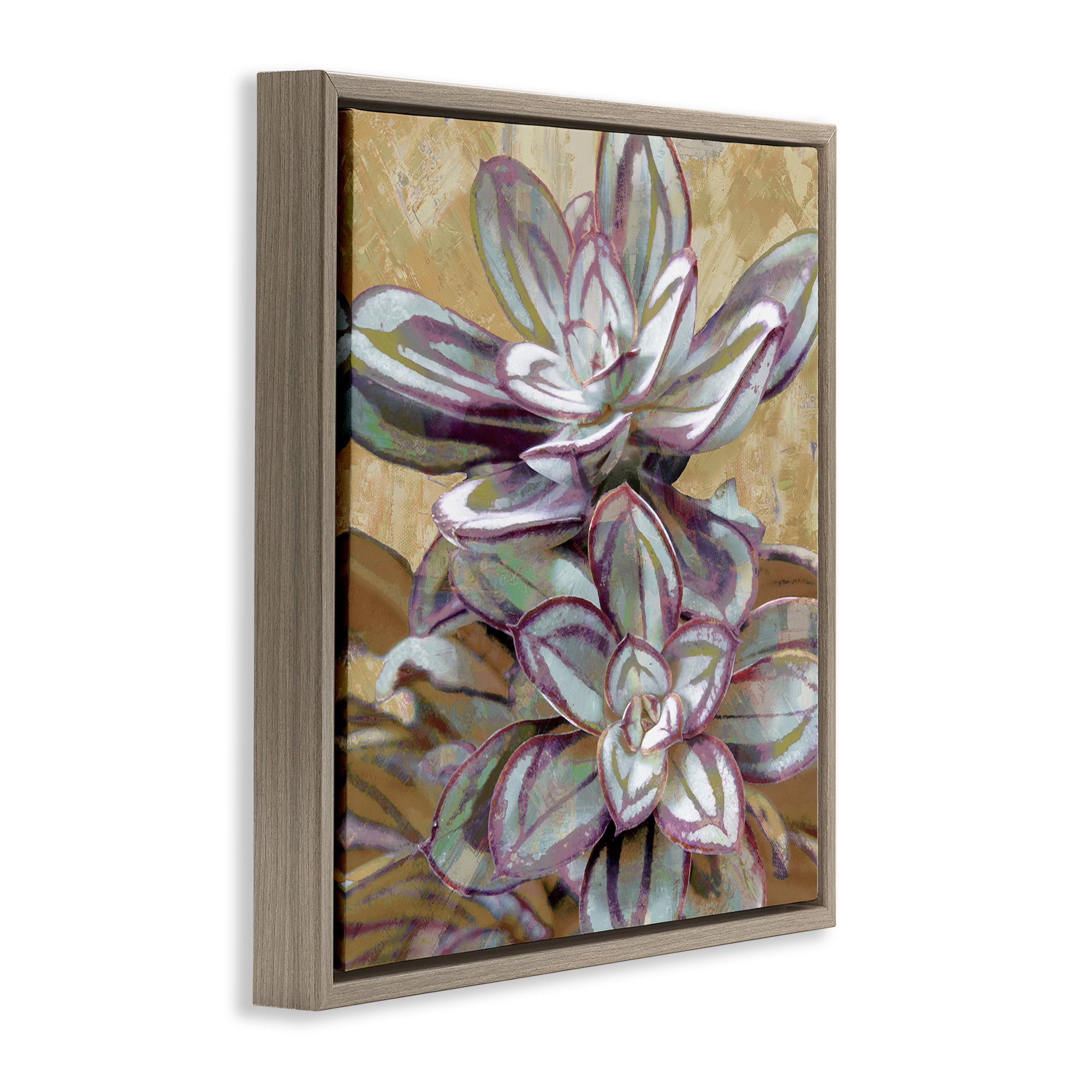 Stupell Industries Rustic Desert Succulents Plants & Flowers Painting Brown Floater Framed Canvas Art Print Wall Art, 25 x 25