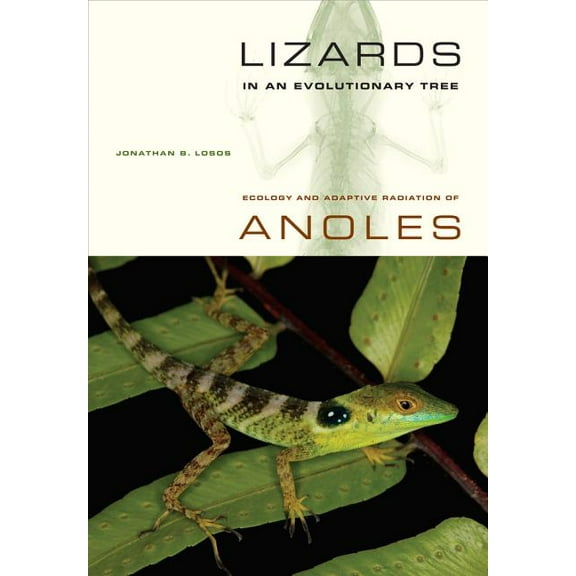 Organisms and Environments: Lizards in an Evolutionary Tree : Ecology and Adaptive Radiation of Anoles (Series #10) (Edition 1) (Paperback)