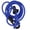 Blue, variant on Rupoun DIY Elastic Kayak Paddle Leash Bungee Rope Lanyard Canoe Accessory Fluorescent Green 47.2 inches / 120 cm