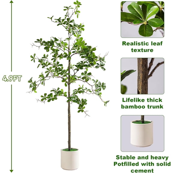 Faux Black Olive Tree 5ft,  Indoor Large Tall Tree Artificial Shady Lady Tree with Natural Wood Trunk & Realistic Leaves, Fake Olive Plant for Home Office Indoor Decor