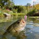 thumbnail image 4 of Señuelo de pesca de metal, estilo natación, centro estable, fundido a presión, 5,2 cm, 13,5 g, varios colores, para pesca en agua dulce y salada, 4 of 6