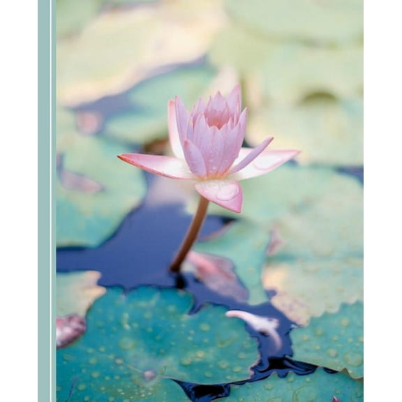 Planners One Year 2020: Water Lily Flowers: Diary Weekly Spreads January to December (Paperback)