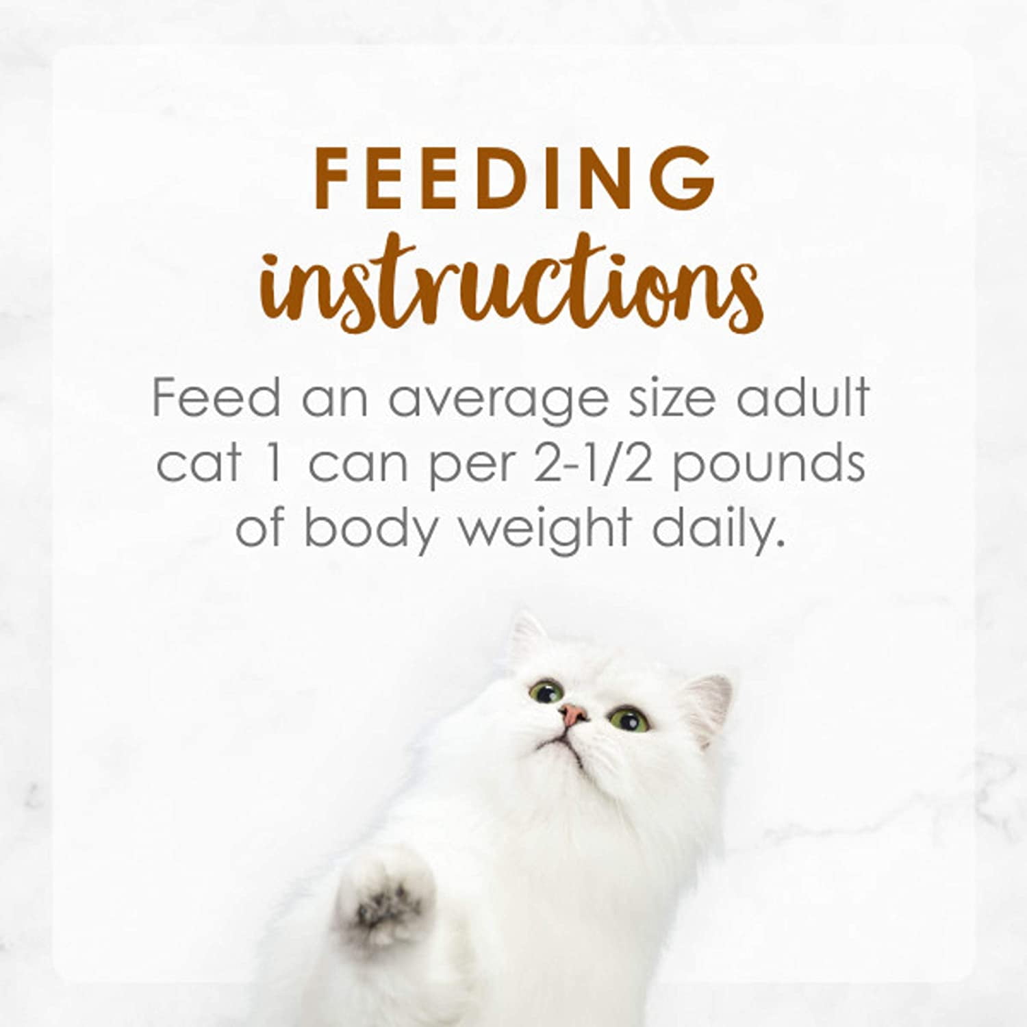 Purina Fancy Feast Medleys Tender Turkey Tuscany With Long Grain Rice & Garden Greens in a Savory Sauce Adult Wet Cat Food, 3 Ounce (Pack of 12)