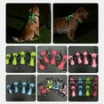 Aruwei Luminous Pet Harness Set, Rechargeable LED Dog Chest Strap