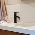 thumbnail image 2 of Lulani Aruba Stainless Steel 1-Handle Single Hole Bathroom Faucet with Drain Assembly - Steel Black, 2 of 9