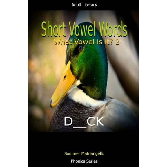Short Vowel Words: What Vowel Is It? 2, (Paperback)