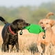 thumbnail image 5 of KAKOWELY Interesante juguete de arrastre para perros, resistente a las mordeduras, juguete de entrenamiento para perros., 5 of 5