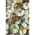thumbnail image 3 of Talent, Kelley 17x24 Black Modern Framed Museum Art Print Titled - Heirloom Pumpkins, 3 of 5
