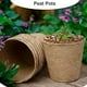 thumbnail image 2 of Macetas Ecológicas de Papel Reciclado para Plantas Suculentas y Germinación, 8cm de Altura, 100 Piezas, Biodegradables y Absorbentes, Ideales para Flores y Hortalizas, Fáciles de Transplantar., 2 of 6