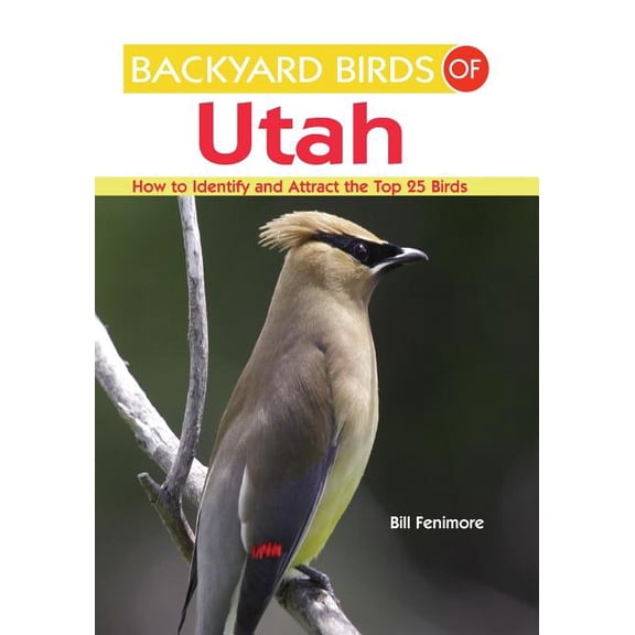 Backyard Birds of Utah : How to Identify and Attract the Top 25 Birds (Paperback)