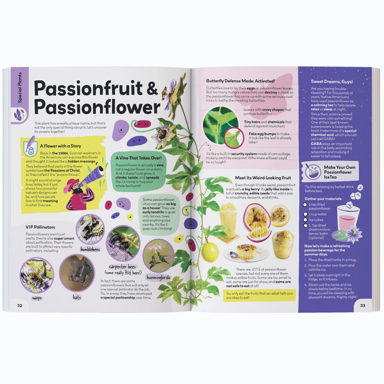 My First Plant Book [Book]