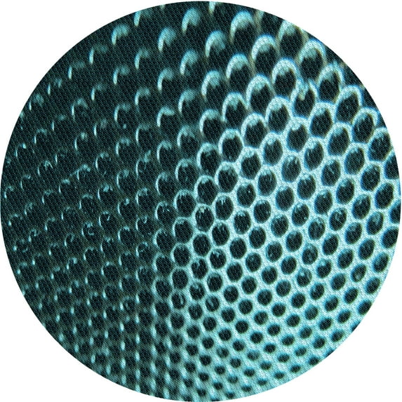 Ahgly Company Indoor Round Patterned Deep Teal Green Area Rugs, 4' Round