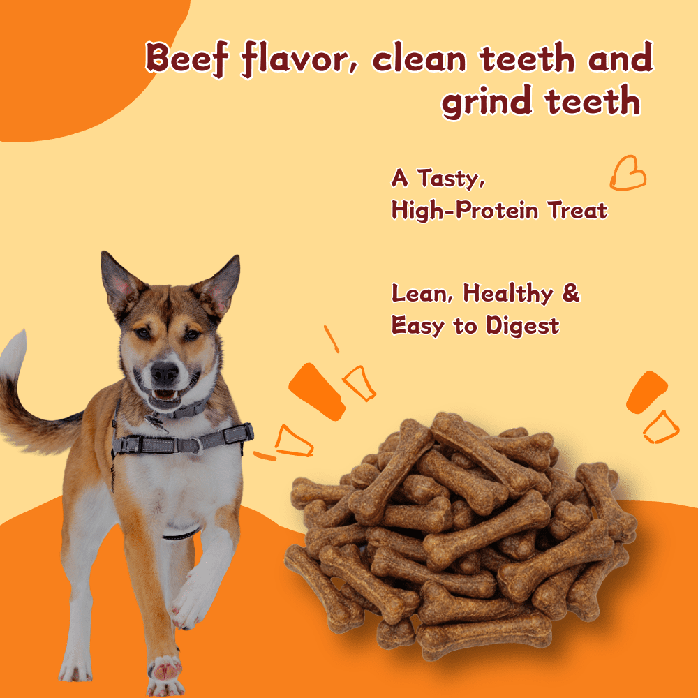 Tender Touch Molar Dental Bones for Dogs, Grain-Free with Savory Beef Flavor, Supports Fresh Breath and Gum Health for All Breeds 2.65 Pound