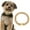 dog collars for small dogs, variant on Stainless Steel Dog Collar Metal Chain With Thick Links For Small Puppy Dogs, 12 Inch (31Cm) Length 15Mm Width Durable Sturdy Stainless Steel Construction, Strong Secure Metal